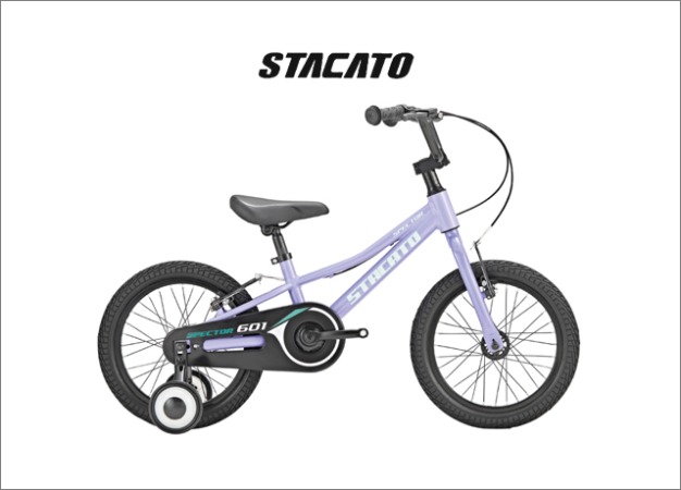 2022 스타카토 16 스펙터 아동용 자전거